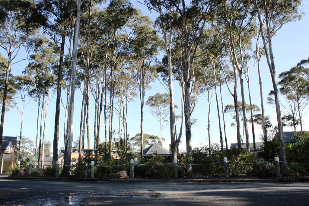 Waverley House Cottages Lakes Entrance Εξωτερικό φωτογραφία
